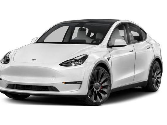 TESLA MODEL Y 2021 5YJYGDEE5MF083815 image